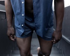 Forms of Porn - Sex Art Film