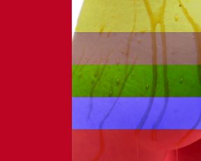 Color Erotic - Soul Catcher