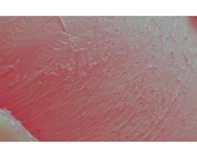 Color Erotic - Soul Catcher