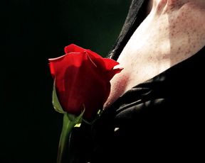 Nude Art - Red beast