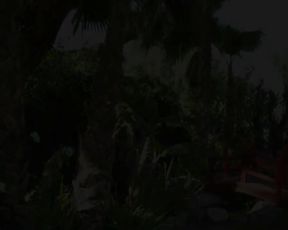 Full Softcore Movie - Spoonful of Sex (2016)