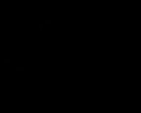 Strange Art Adult - Trust Your Photographer (2016)