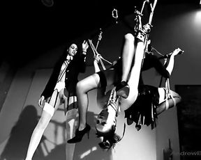 House Pets - Adult Film - Andrew Blake (2008)