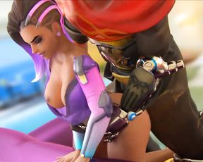 What The SFM Bounce Is HMV