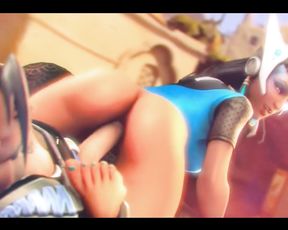 Subdivision SFM PMV (Overwatch)