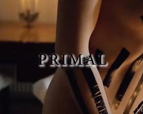 Softcore Dark-Hued Gauze