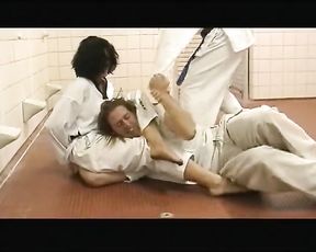 Martial Arts Violent Damsels