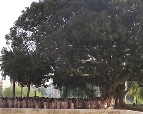 Spanish Bare Art at Valencia