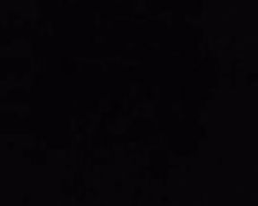 Asian Escort gives me Coronavirus