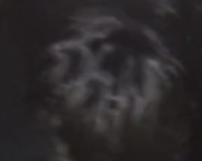 Gettin’ Jiggy in the Adult Theater with a “friend”