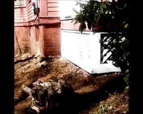 Public Bareness Clamps - Vine Videos