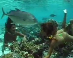 Tahitian Ladies Swimming Underwater (erotic)