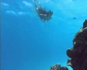 Tahitian Ladies Swimming Underwater (erotic)