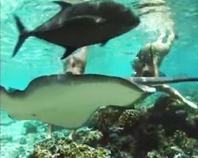 Tahitian Ladies Swimming Underwater (erotic)
