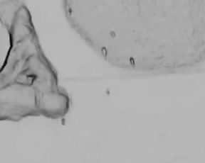 Art of Prostate Tugging