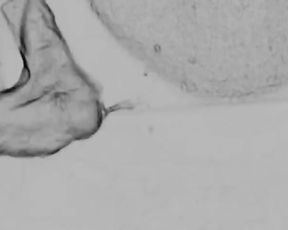 Art of Prostate Tugging