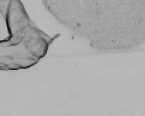 Art of Prostate Tugging