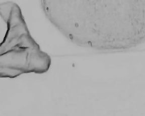 Art of Prostate Tugging