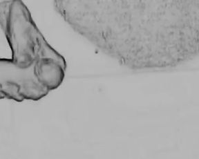 Art of Prostate Tugging