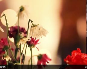 Celebrities Arlene Chico-Lugo & Dee Herlihy Nude And Jaw-Dropping Vignettes