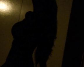 Shadow Erotic Sex Intercourse