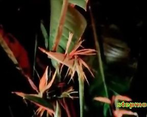 [MUST WATCH] This Red-Hot & Wet Softcore Sex Intercourse Intercourse Sequence Of Kim Yates