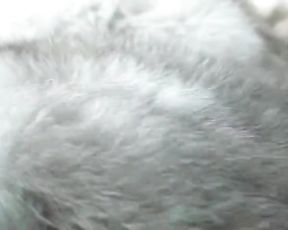 Boned in Fragile White Fur Coat