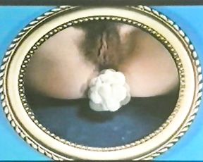 TABU VINTAGE ART PORN | 60-70's (+100 video) 20 GB