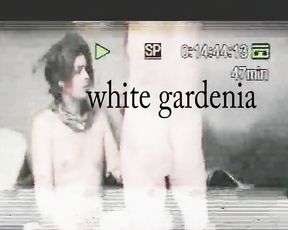 Hookup Intercourse Tape Sex white gardenia - while in the drivers seat...( amateur vid Homemade Sextape punk nymph goths pulverizing kissing ambient erotic
