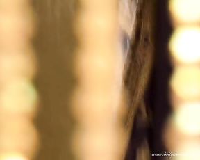 Sacred Dance Of India