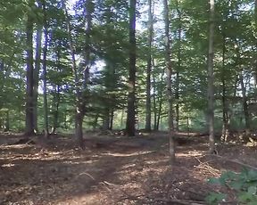 Dude undresses and walks bare in the forest to jack off on a raised stash