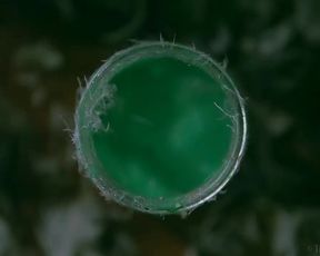 4 COLOR | GLAMOUR ART | PAUL EBONY