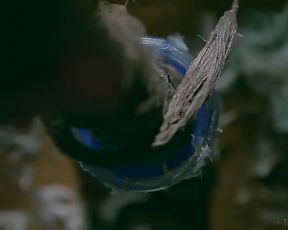 4 COLOR | GLAMOUR ART | PAUL EBONY