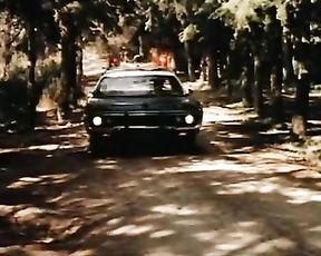 Revenge of the Cheerleaders 1976 - nude gigs