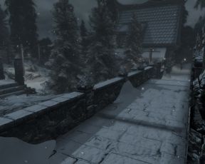 3D Adult Game Assassin