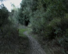 Cosplay Girl Explicit Masturbating - Danicole - Come This Way