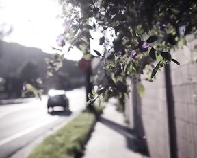 Taboo Step Submission Sex - Detour (Kenzie Reeves, Carmen Caliente)