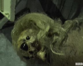 4K Adult Horror Movie - Female Spider (3840x2160)