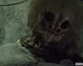 4K Adult Horror Movie - Female Spider (3840x2160)