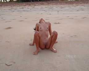 Nude Beach Video
