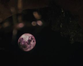 Genesis Rodriguez sexy – Casa de mi Padre (2012)