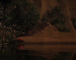 Genesis Rodriguez sexy – Casa de mi Padre (2012)