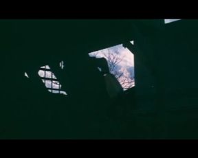 Hot Asian Christina Lindberg Nude - The Pornstar Travels Around Japan (1973)