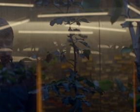 Alicia Vikander and Sonoya Mizuno - EX MACHINA