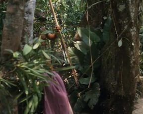 Daryl Hannah & Kathy Bates naked - At Play in the Fields of the Lord (1991)