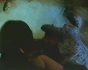 Explicit sex scene Angela Fireworks (1975) Adult video from the movie