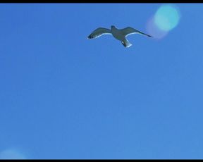 Avalon Barrie & Lyudmila Shiryaeva - Sappho (2008)