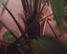 Actress Barbara Evans - Dois Irmaos s01e03 (2017) Nudity and Sex in TV Show