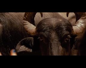 Celebrity Lesbian Video - Livia De Bueno Nathalia Dill Paraísos Artificiais (2012) (Paradise) 