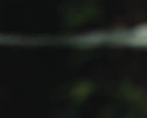 Celebs Hwang Geum-hee, Lee Joo-hee Nude - Couple In The Forest (2017)